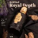 Sapil Royale Oud Perfume notes.webp