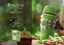 PastelsofArabiaTimelessPosterCatelog.webp